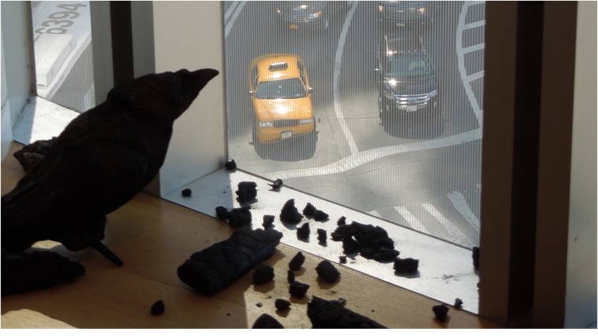 Installation shot. Swept Away. MAD Museum